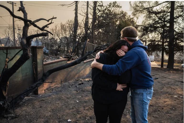 Forest vegetation and biodiversity under threat from seasonal fire