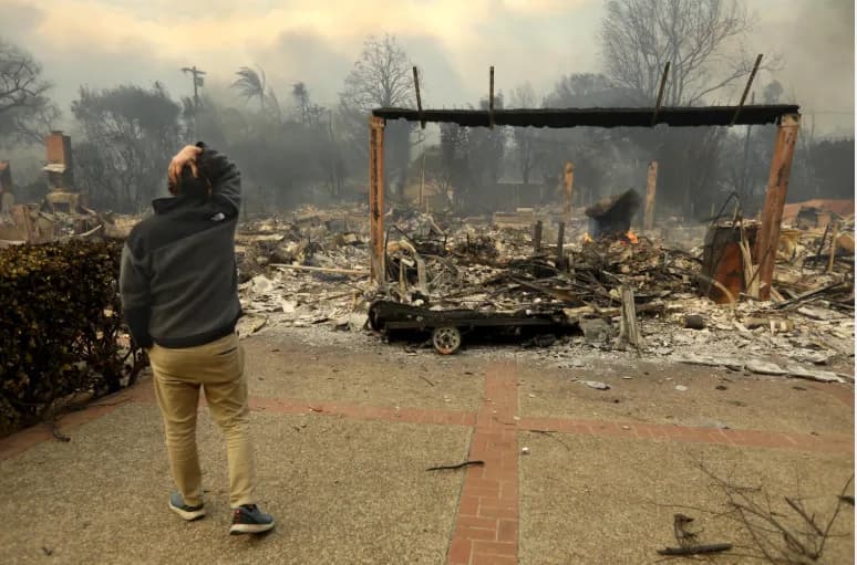 Burned forest ground after a fire has passed through